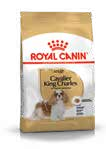 Yorkshire Terrier Adult Yaş Mama