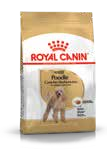 Poodle Adult Yaş Mama