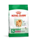 Mini Indoor Adult