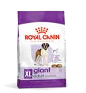 Giant Junior